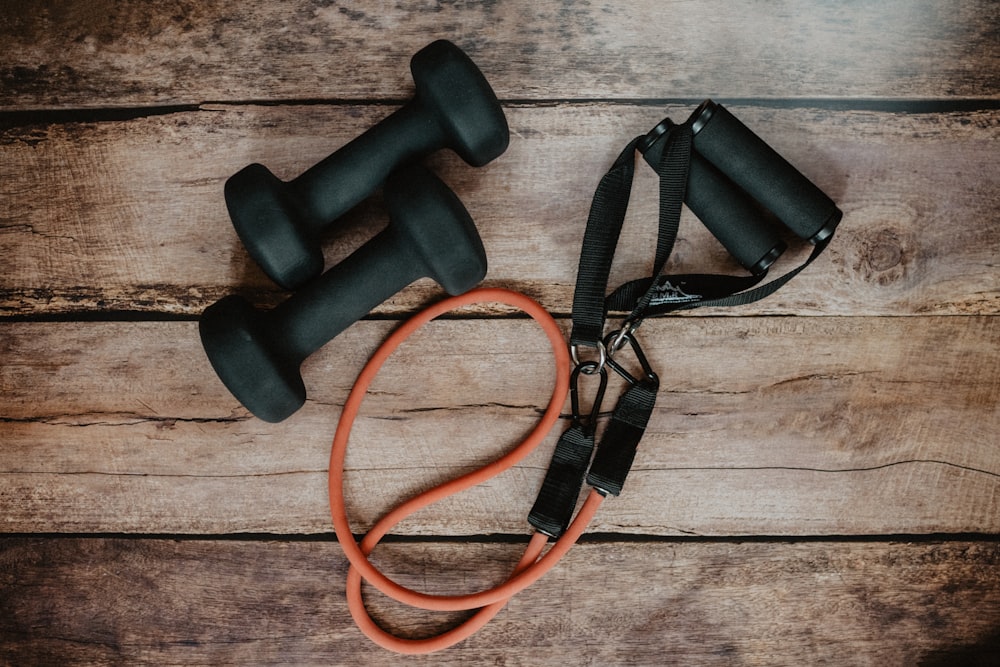 Best adjustable dumbbells for home gym 2026 and Clean whey protein for sensitive stomach